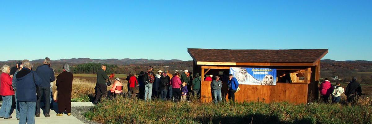 Bird viewing blind