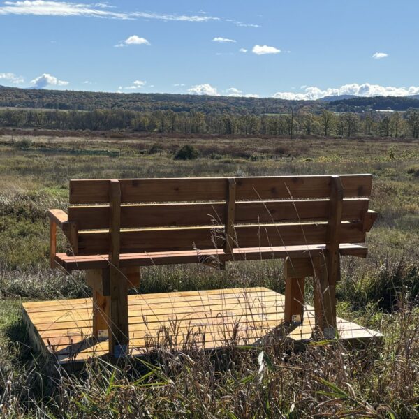 Birding on the Alfred Z. Solomon Bird Trail